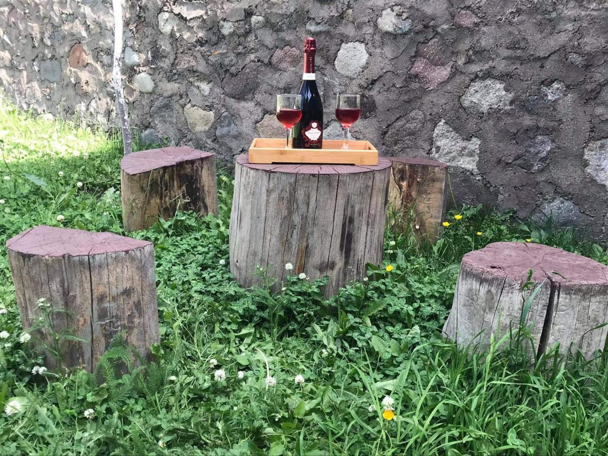 Hotel Crystal Kazbegi Esterno foto